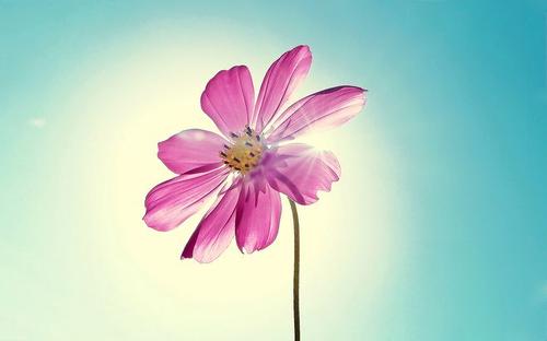 11.我犹豫了一下，细雨爬到窗台上。