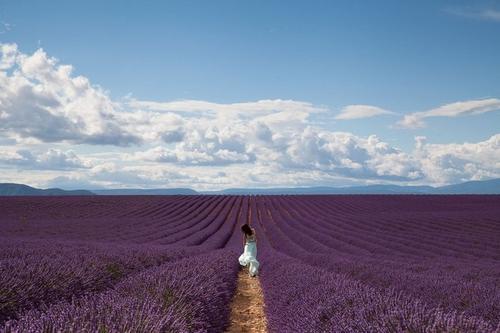 10.我最亲爱的朋友，我将为您增加一倍的幸福，我将分享您的艰辛。祝你幸福！
