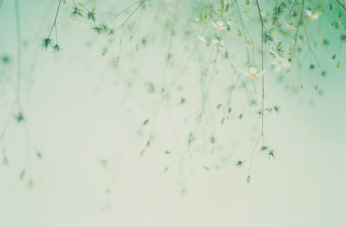 10.这是家庭的情感,是一个使我不断成长的小窝。