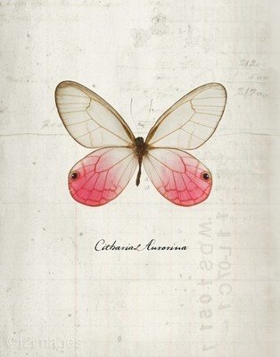 11.毛毛雨滋润了一切,倒出了麻烦。冲洗了世界并带来了新鲜感;驱散忧郁,使心情愉悦;装饰风景,丰富画卷。愿您在雨中享受浪漫,幸福生活!