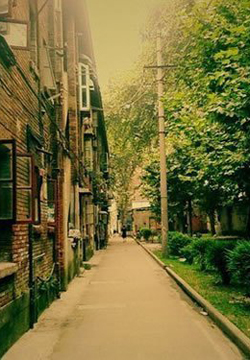 11.永远的母亲,永远的爱,但是没有永恒的时间让我们享受