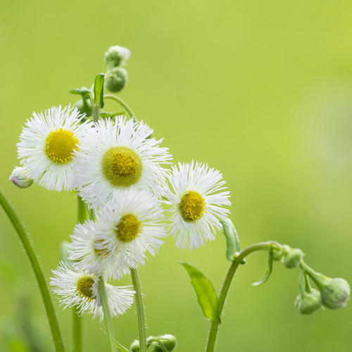 12.实际上,我们不能为此自私地后悔,但应该对此表示感谢