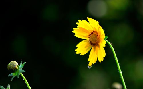 10.面对经济利益,没有人际关系,家庭,友谊甚至爱。