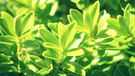 11.雨后的周末总是那么安静和安详，让自己静下来听。时间似乎在此时此刻，岁月未逝。