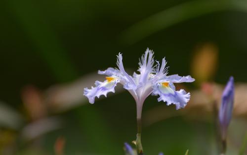 12.有人问我有关家庭,友谊和爱的信息。金钱,权利和地位。我将前三个更改为后三个,但我坚决拒绝像我一样指向红色,