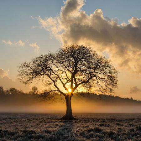 11.彼此了解是一种命运,相遇使我们拥有无尽的浪漫情怀。团结在一起是一种承诺,在世界的轮回中,我们将永远记住这个美丽的爱情故事!