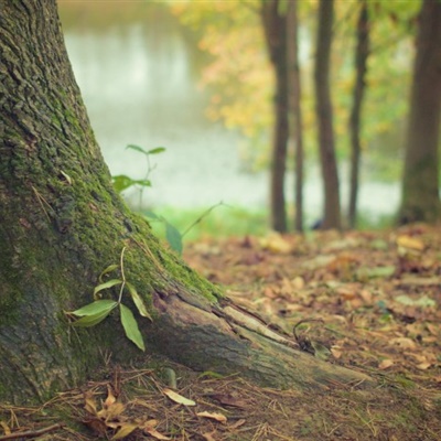 12.距离越远,错过的机会越深;持续时间越长,错过的机会越深;漫长的夜晚,什么时候会热爱爱情?