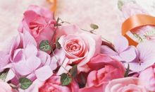 把亲情看淡的句子