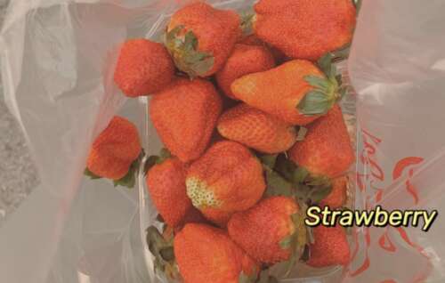 8个字符的漂亮句子