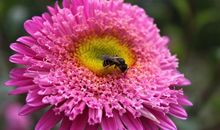 体现亲情的句子写事