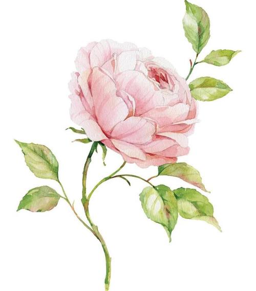 10.幸运的是，大多数最终不满意的妇女也可以自力更生和自给自足。幸运的是，大多数伤心欲绝的妇女都将其亲戚作为情感上的支持。 。 。 。 。