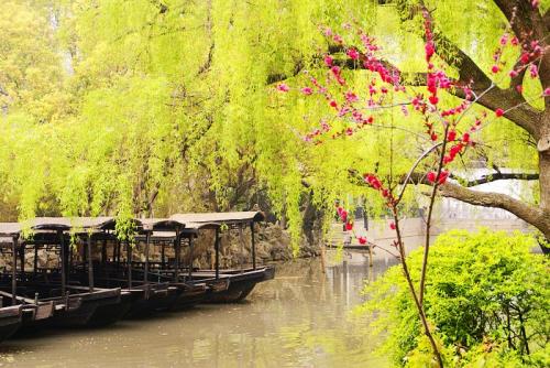 11.冬天，冰和玉，傲慢而令人敬畏；春天，温暖阳光明媚，平易近人。与后者相比，我更喜欢它。这时，寒冷的冬天过去了，春天开始了，天气依旧冷暖，窗外有几缕明媚的春天。春天真的来了...