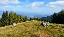 拥有亲情是幸福的句子