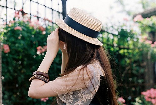 美丽的爱情句子与图片