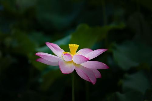 12.当你的心来的时候，思考，看，闻，听，到来的人，手来，脚来，说，做，得到，时间到了，你的礼物还没有到，首先把我的祝福发送给：生日快乐妈妈！