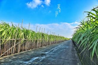 11.对于妈妈：有人说世界上没有永恒的感情，我错了！母亲是永恒的，她是永远不会坠落的星星，