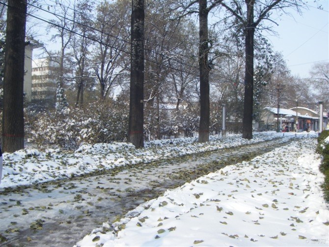给大学生的祝福