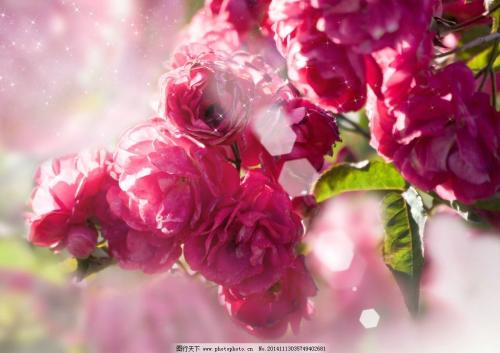 11.家是一个温暖的词,也是一个我们可以减轻疲劳并休息身心的地方。