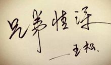 写兄弟亲情的句子