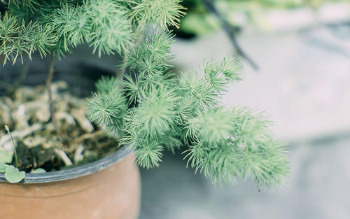 10.老师说，同学们，不要早恋。您现在谈论的是将来其他人的妻子。当我听到它的声音时，考虑到其他人的妻子，他们会感到非常兴奋。