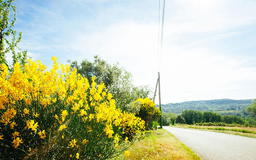 10.在另一个地方徘徊，爱与思考总是担心家乡的山脉，河流，草木，站在寂静的夜空，无数日日夜夜地盯着家乡，回想起已经过去的美丽图画远。终于到了新年，您可以利用这个假期与家人聚会。