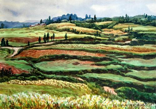 11.像树叶在风中摇曳一样快乐，好像在为我跳舞；鸟儿在空中尖叫，仿佛在为我唱歌...