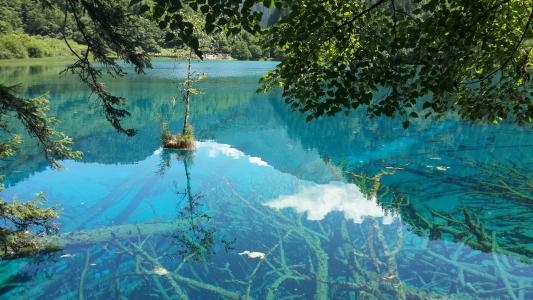 12.看起来很高兴，父亲将带我去北京玩。我欣喜若狂。我走路跳。