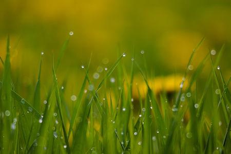 11.我曾经相信爱情，后来才知道爱情必须转化为家庭感情才能持久，但是爱情转化为家庭感情就像一杯水里的冰块，它仍然是冰块吗？