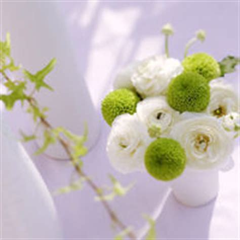 12.如果友谊消失了，那么这个世界的群山会瞬间沉没，并且没有大地可以抵挡群山。