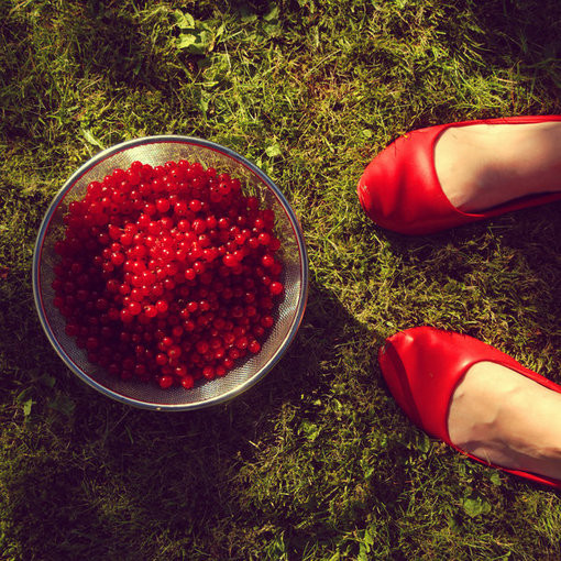 QQ空间讲图片大全