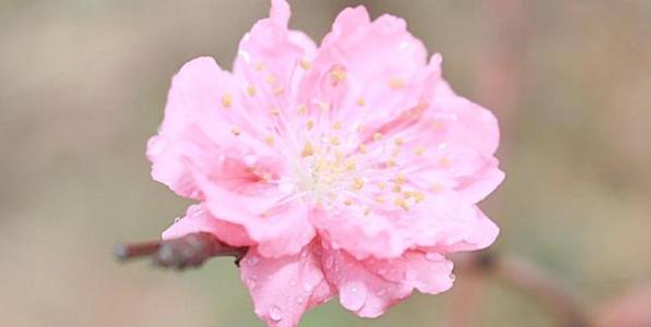 10.这时我后悔结婚,后悔有孩子,而我的选择确实错误。有人说结婚是女人的第二次轮回。我仍然迷失了命运。