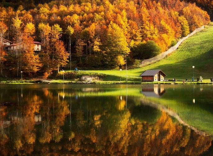 10.不管他有多冷,他的母亲都会为你盖上另一个杯子。父亲是无论您有多少被子都会与您一起被子的人,但最终他肯定会输给您。