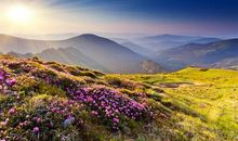 不开心唱歌的句子