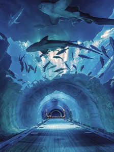 12.有时候父母的爱会使我独自哭泣。当然,眼泪是真诚而纯洁的。但是有时战争的火焰即将爆发。