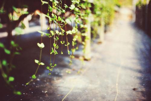 11.你是我心中的高山,为我的生活树立了标杆;您是我面前的草原,为我敞开胸怀。山上教我当个正直的人。草原完全容纳了我。老爸我爱你!