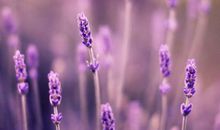 有关描述日常亲情画面的句子