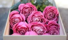 情人节收到礼物开心的句子