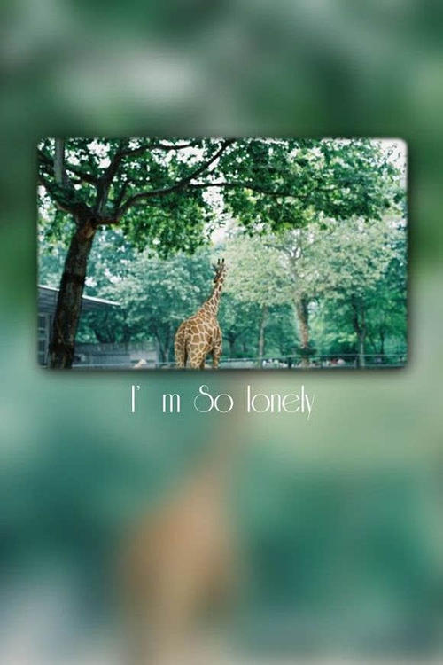 12妈妈！天空的风雨在这里，鸟儿藏在他的巢里，我心中的风雨在这里，我只藏在你的怀里。