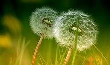 描写人生的句子47句