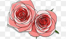 说姐弟亲情的句子