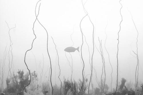 11.他说：“你会找到比我更好的人。”您笑着说：“但是我永远不会对别人那么好。