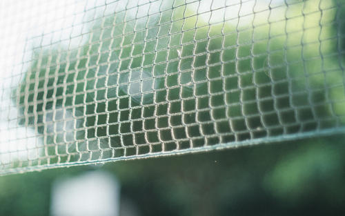 11.他感到惊讶和高兴，他的眼睛像电灯泡一样，地面照亮了，他沉着的脸上露出了微笑。