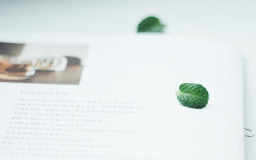 12.收到入场通知书后，我看起来像是一位经历了长期干旱和雨水的农民，就像一个渔夫看着雾海中的灯塔，我感到非常高兴，我真的不知道怎么形容！