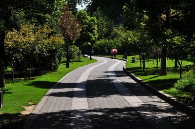 10.早晨打开窗户,拥抱阳光,感受自然的笑容。晚上散散步,聊功课,品尝日常乐趣。下午好,祝您有美好的一天!