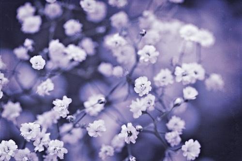 10.多年的洗礼将显示出家庭感情的强烈;物质欲望的考验将证明家庭感情的真假。