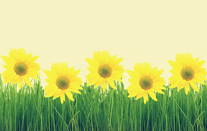 关于生活态度的句子2