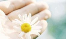 亲情给与动力的句子