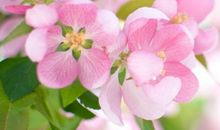 关于成长和亲情富有哲理的句子