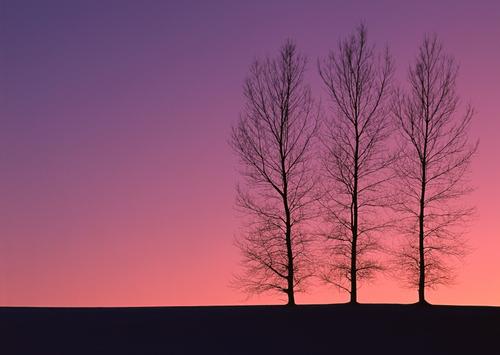 10.世界上最美丽的声音之一就是母亲的呼唤。