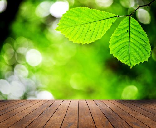 12.如果我可以吃，那并不意味着我是美食家，而只能说我很容易养育。